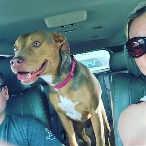 Meet your Posher, Jaryl